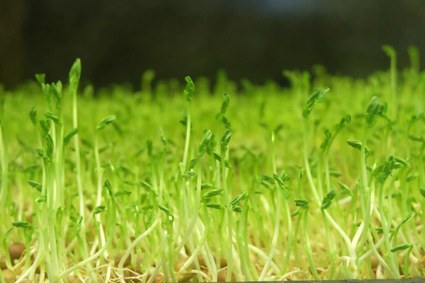 <a href='http://www.geqayvz.cn' target='_blank'><u>健康管理師考試</u></a>時間